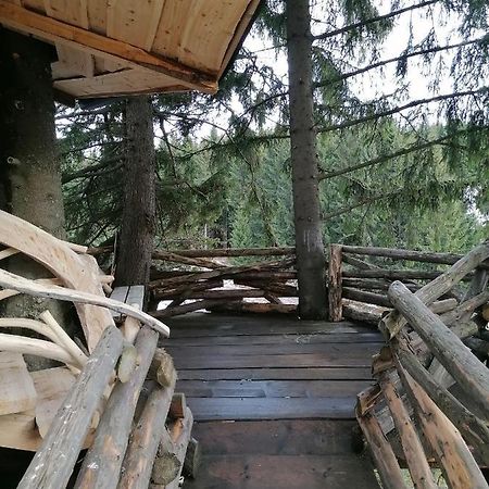 Căsuța Con Villa Fundata Exterior foto